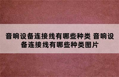 音响设备连接线有哪些种类 音响设备连接线有哪些种类图片